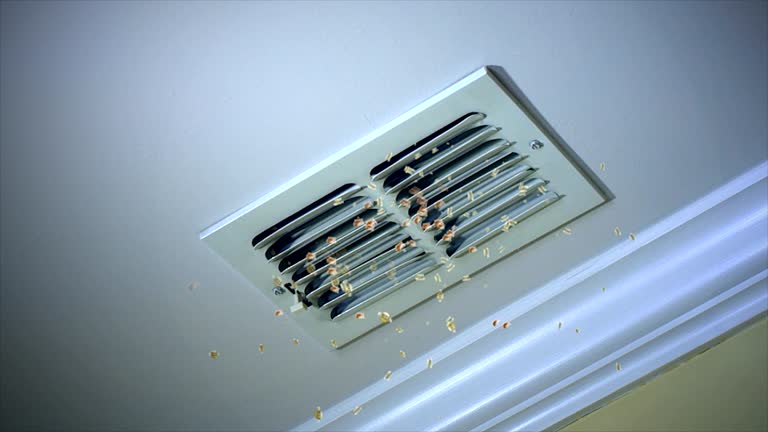 Best Affordable Duct Cleaning Services  in Watergate, FL